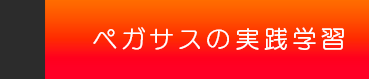 ペガサスの実践教育